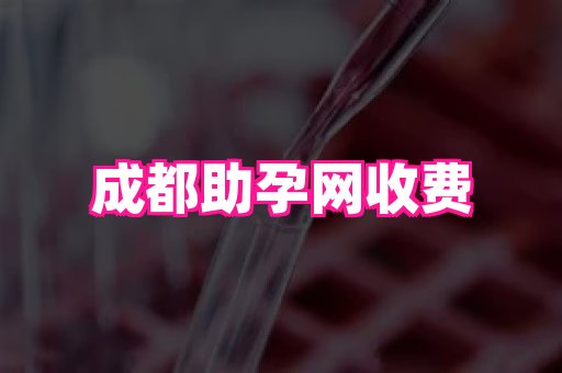 南京助孕网 3