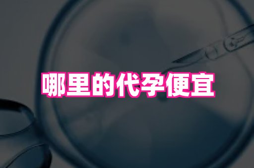 南京助孕网 4